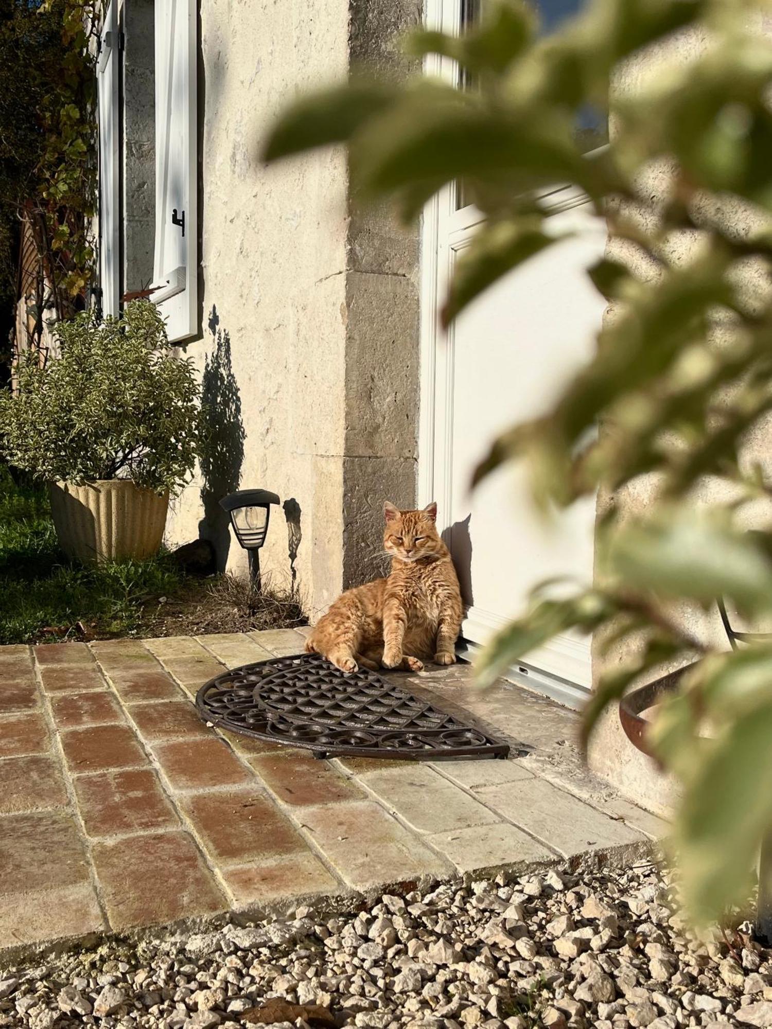 Maison Moz Fontaines-en-Sologne Exterior foto